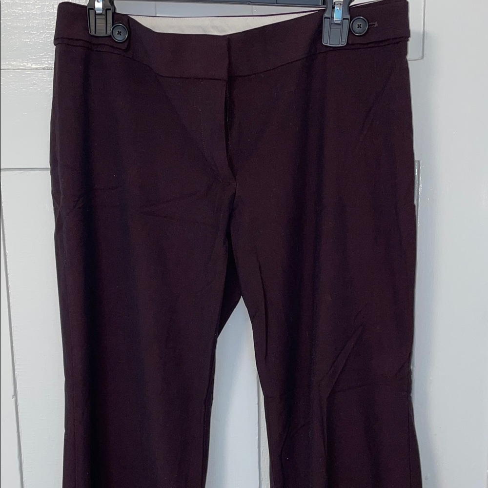 LOFT Eggplant Boot Cut Dress Pants